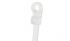 Pan-Ty? Clamp Ties – Nylon 6.6
